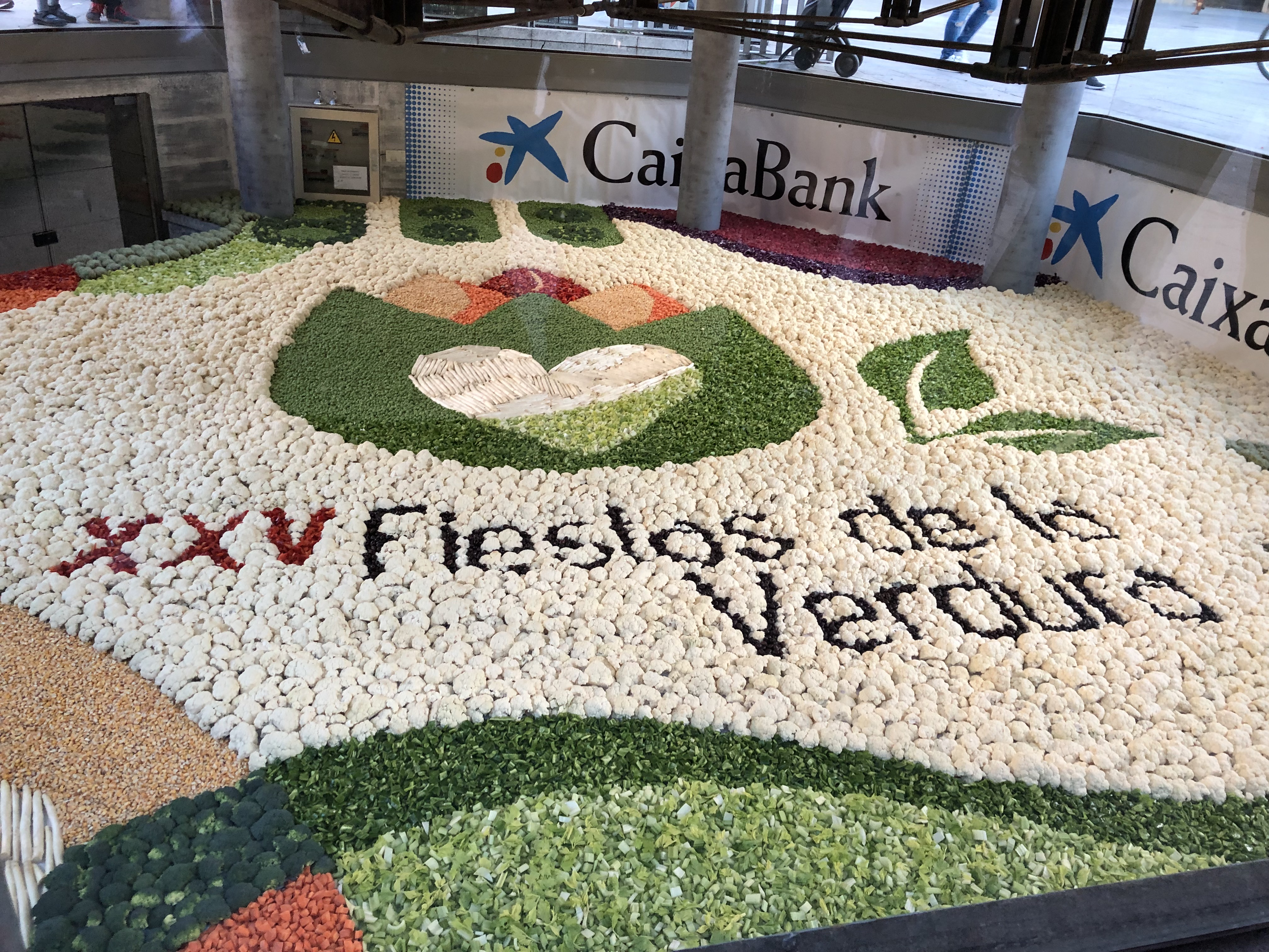 La recuperación del tapiz de verduras,  EXITO TOTAL!